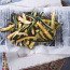 Frites Aux Haricots Verts