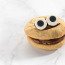 Biscuit Monstre