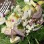 Salade Popeye