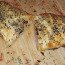 Demi-Pain Aux Trois Graines
